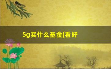 “5g买什么基金(看好5G应该买哪只基金)”/