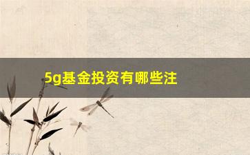 “5g基金投资有哪些注意事项？”/