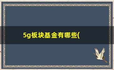 “5g板块基金有哪些(5g基金有哪些占股比例大的)”/