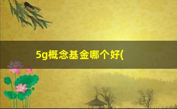 “5g概念基金哪个好(5g概念基金哪个好一点)”/