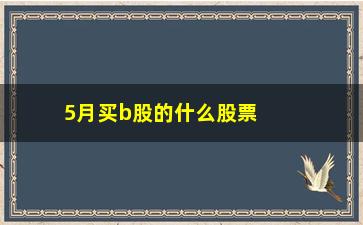 “5月买b股的什么股票(B股股票什么意思)”/