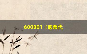 “600001（股票代码详解）”/