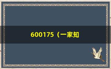 “600175（一家知名上市公司的介绍与分析）”/