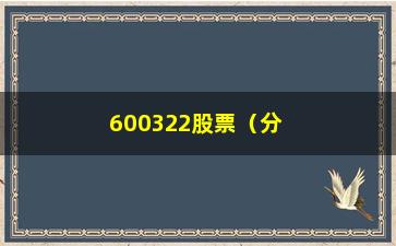 “600322股票（分析600322公司的经营状况和股票走势）”/