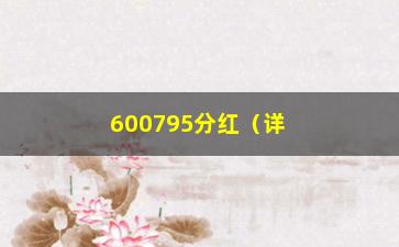 “600795分红（详解600795公司分红情况）”/