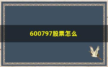 “600797股票怎么样(600797浙大网新股票)”/