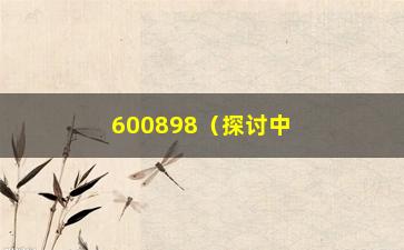 “600898（探讨中国出口的新亮点）”/