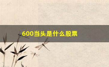 “600当头是什么股票(00和600开头的是什么股票)”/