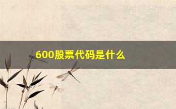 “600股票代码是什么意思(股票代码有个融字是什么意思)”/