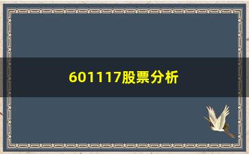 “601117股票分析报告（基于市场行情的分析和预测）”/