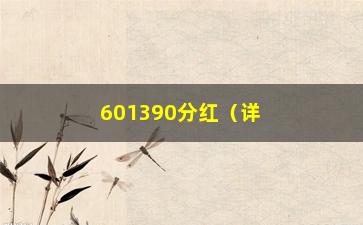 “601390分红（详解601390公司分红方案）”/