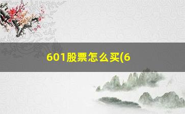 “601股票怎么买(603的股票怎么买)”/