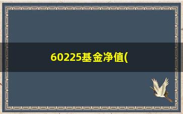 “60225基金净值(60225最新持仓)”/