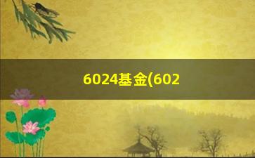 “6024基金(6024基金净值查询)”/