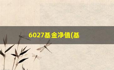 “6027基金净值(基金6027)”/