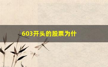 “603开头的股票为什么不对(603开头股票为什么买不了)”/