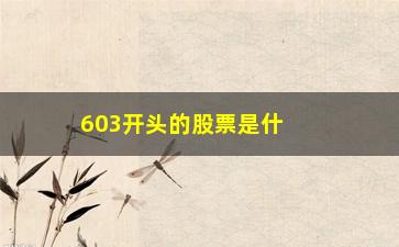 “603开头的股票是什么(603开头的股票是什么股票)”/