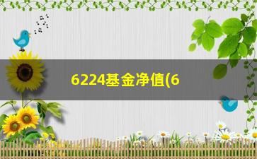 “6224基金净值(6222基金净值)”/