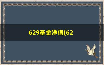 “629基金净值(629基金估值净值)”/