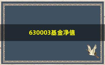 “630003基金净值(26008基金净值)”/