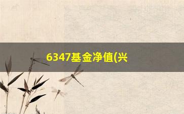 “6347基金净值(兴全合宜混合基金)”/