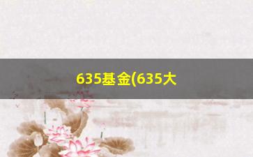 “635基金(635大盘估值)”/