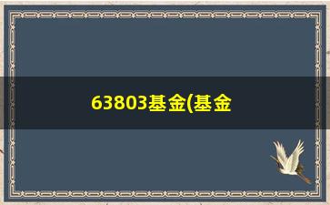 “63803基金(基金63803最新净值)”/