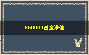 “660001基金净值查询(660001基金分红)”/