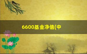 “6600基金净值(中欧新趋势混合基金全国排名)”/