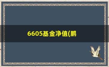 “6605基金净值(鹏华动力最新净值)”/