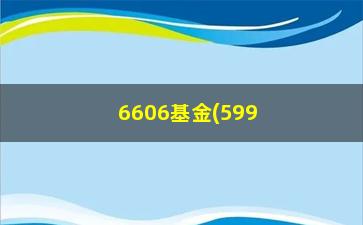 “6606基金(59975净值)”/