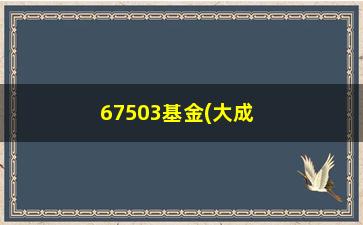 “67503基金(大成基金06547)”/