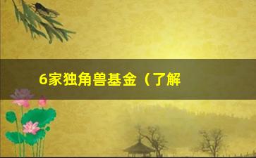 “6家独角兽基金（了解独角兽公司投资的6家基金）”/