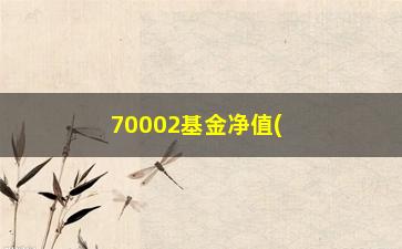 “70002基金净值(288002基金净值)”/