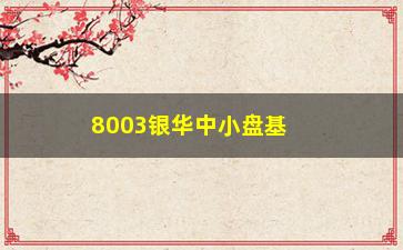 “8003银华中小盘基金(银华8003基金净值)”/