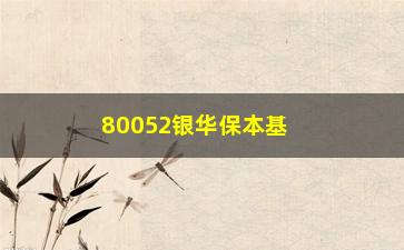 “80052银华保本基金(银华保本增值80002基金)”/