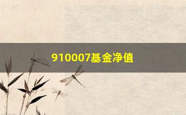 “910007基金净值大介绍（投资者必看的分析报告）”/