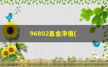 “96802基金净值(63402基金净值)”/