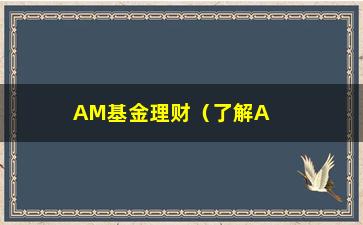 “AM基金理财（了解AM基金理财的优势和风险）”/