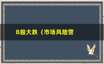 “B股大跌（市场风险警示）”/