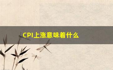 “CPI上涨意味着什么（通货膨胀背后的经济影响）”/