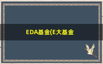 “EDA基金(E大基金)”/