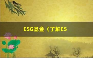 “ESG基金（了解ESG基金的投资步骤和优势）”/