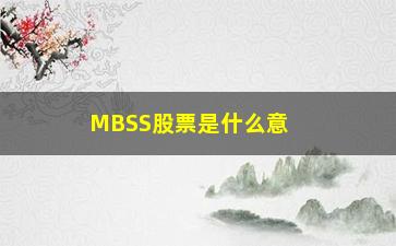 “MBSS股票是什么意思(MBSS是什么缩写)”/