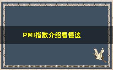 “PMI指数介绍看懂这个指标，掌握全球经济走势”/