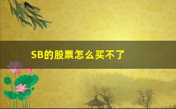 “SB的股票怎么买不了(股票交易为什么买不到)”/