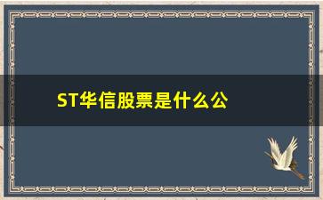 “ST华信股票是什么公司(华信退股票现在是什么情况)”/