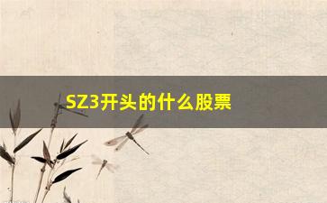 “SZ3开头的什么股票(股票开头代码什么区别)”/