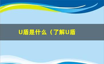 “U盾是什么（了解U盾的定义和作用）”/