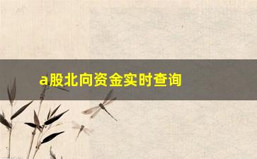 “a股北向资金实时查询，掌握A股北向资金动向，把握市场走势”/